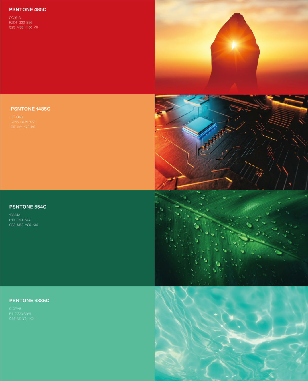 Ҽ������(EDF)���¹ٷ���վ